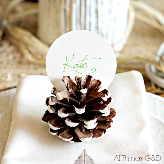 DIY Painted Pinecone Place Card Holders